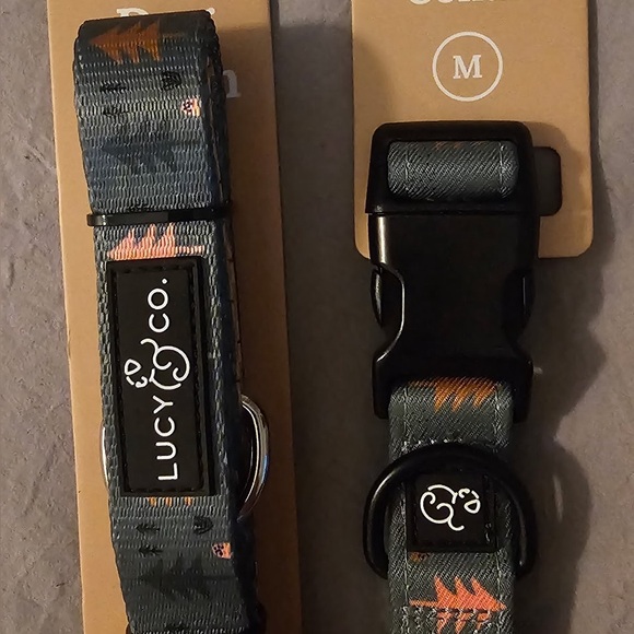 Lucy & Co. Take A Hike Dog Collar (M) and Matching Leash - Picture 3 of 5